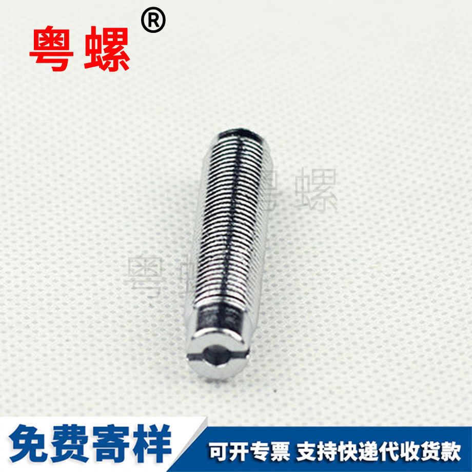 粵螺供應一字錐 粵螺供應一字錐