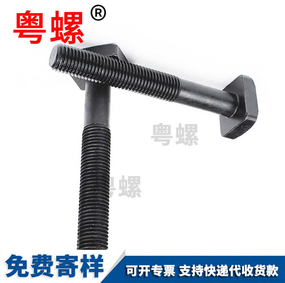 定制T型壓板螺絲201不銹鋼小定西方頭螺栓DIN787