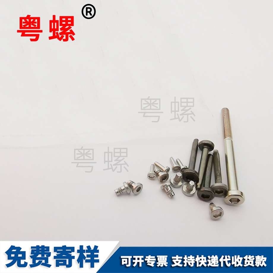 廠家批發(fā)內(nèi)六角螺絲 不銹鋼螺絲 鐘表裝飾釘 廠家批發(fā)內(nèi)六角螺絲 不銹鋼螺絲 鐘表裝飾釘