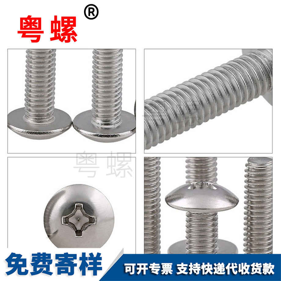 薄頭蘑菇頭 薄頭蘑菇頭