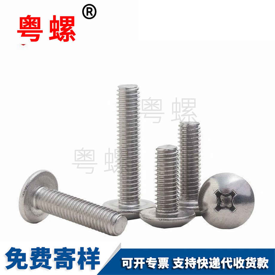 定做201大扁頭楚雄十字螺絲