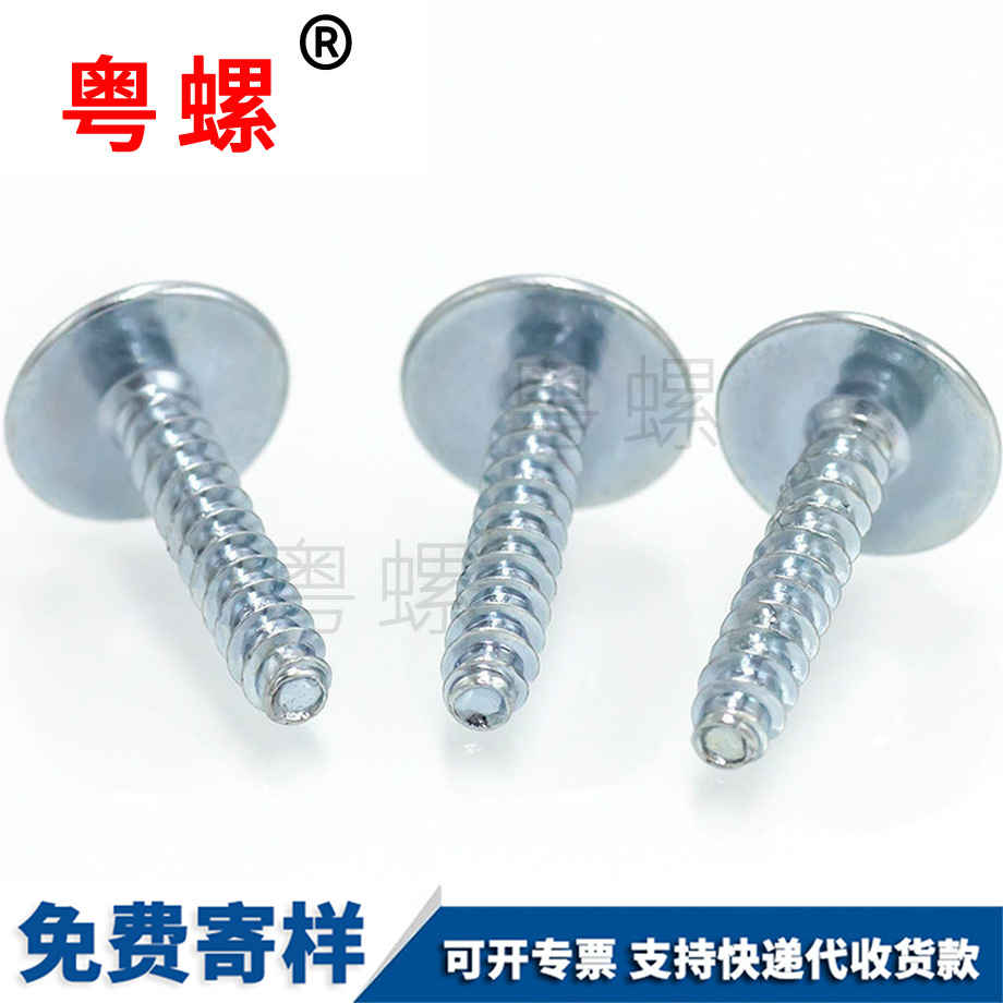 訂制圓頭自海西帶墊自攻