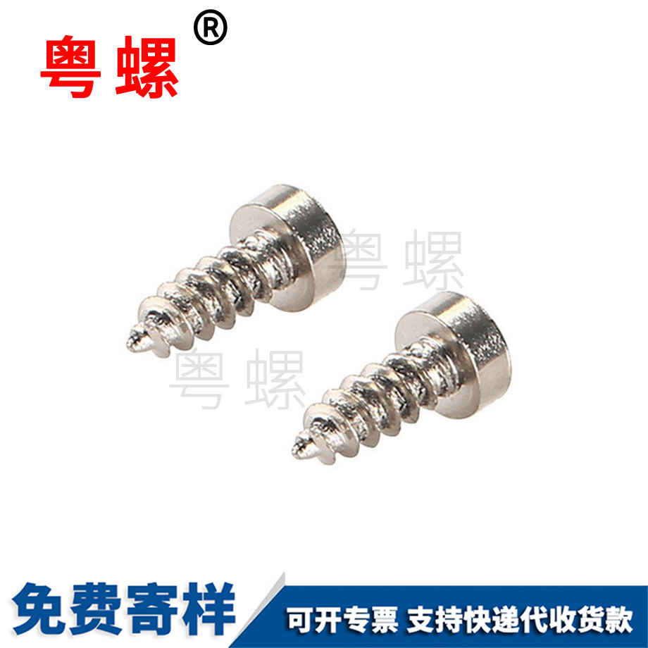 西雙版納大扁頭西雙版納鉆尾螺絲