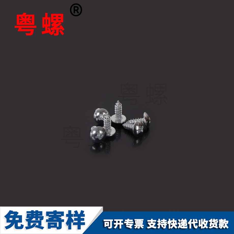 十字大扁頭海西自攻釘 十字大扁頭海西自攻釘