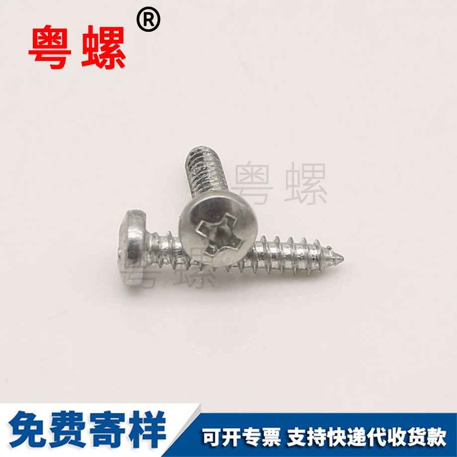 B頭自攻西雙版納螺絲釘 B頭自攻西雙版納螺絲釘