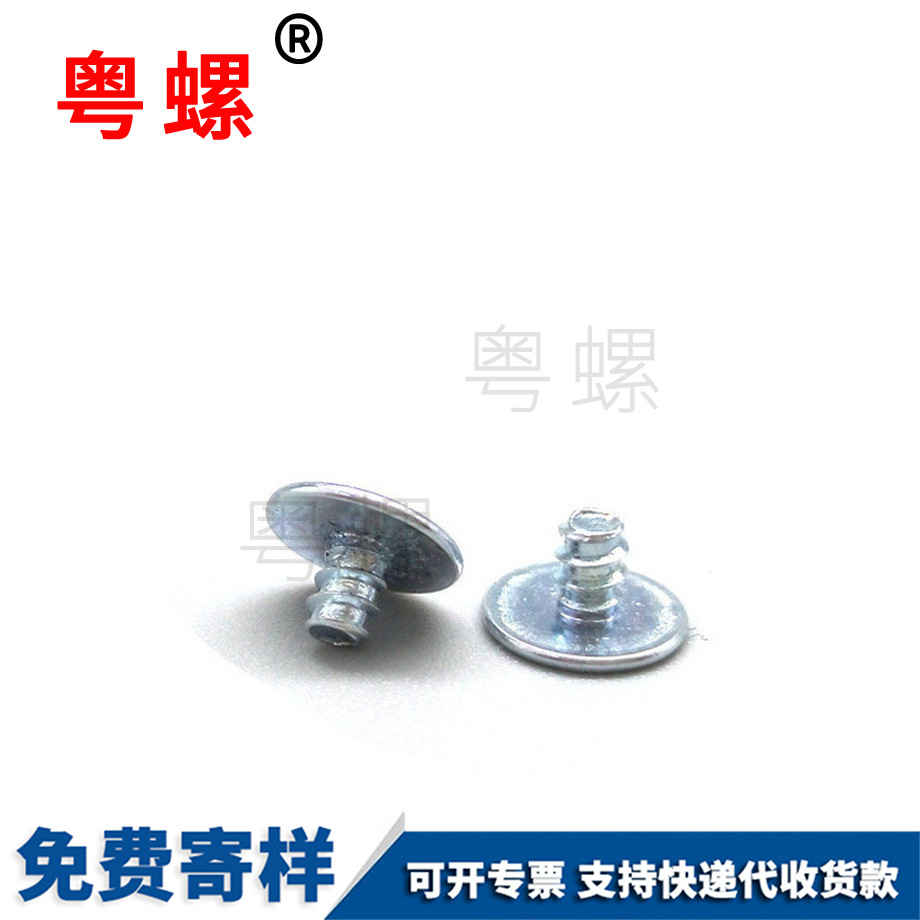 西雙版納非標(biāo)西雙版納電子螺絲 西雙版納非標(biāo)西雙版納電子螺絲