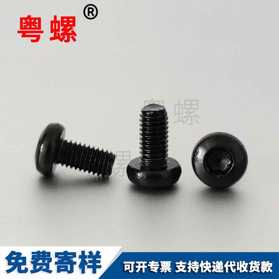 生產(chǎn)西雙版納防盜螺絲