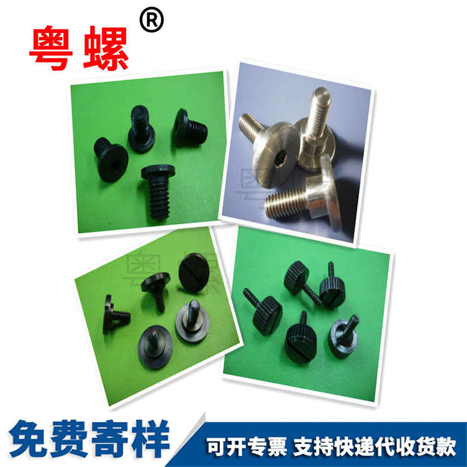 西雙版納內六角西雙版納臺階螺絲 西雙版納內六角西雙版納臺階螺絲