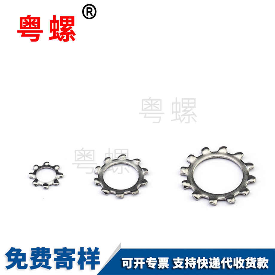 迪慶鎖緊墊圈 迪慶鎖緊墊圈