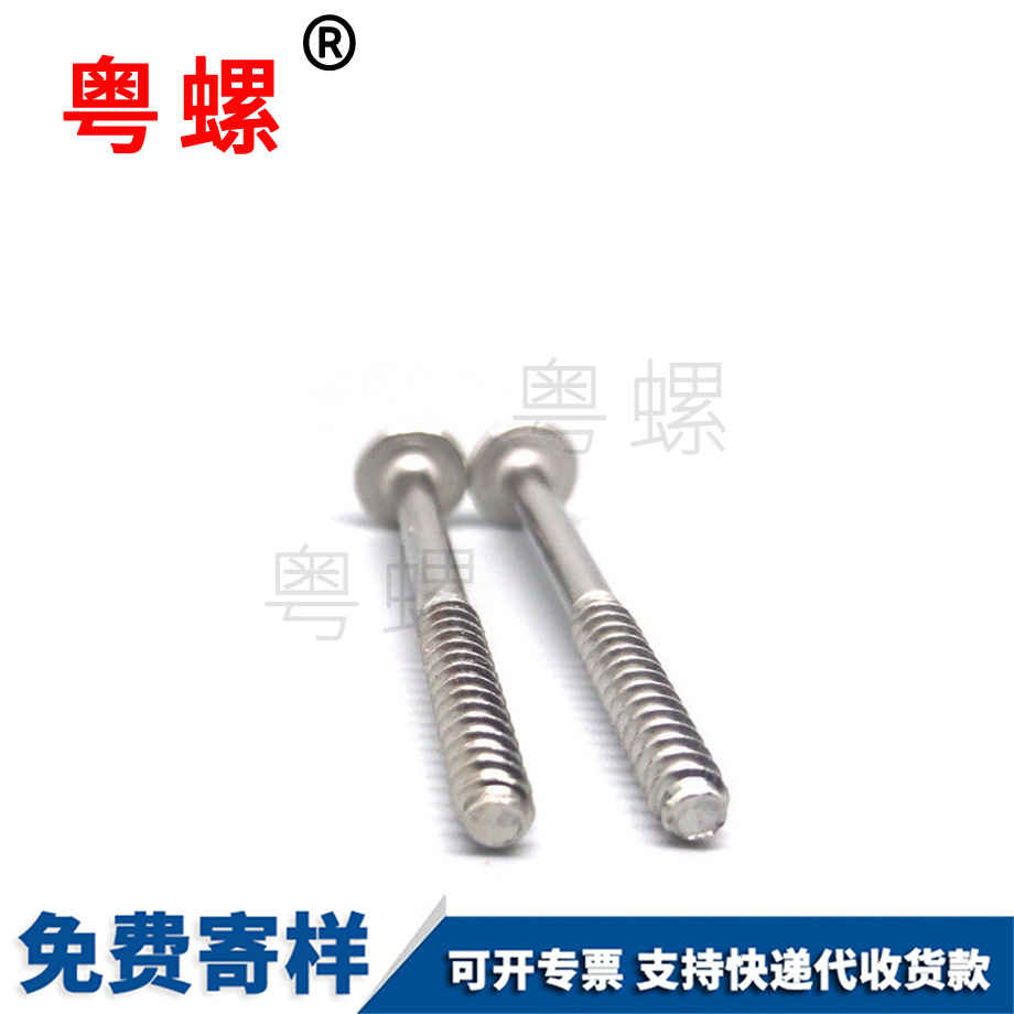 西雙版納西雙版納帶墊西雙版納自攻螺絲