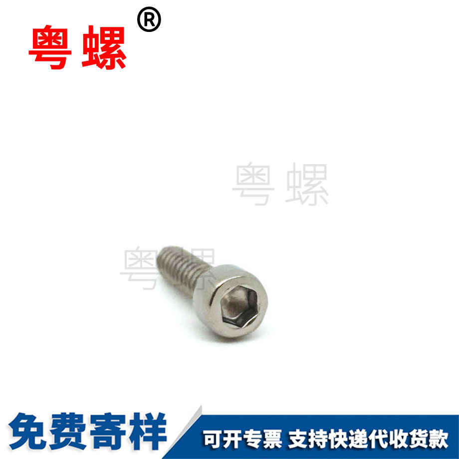 定制不銹鋼海西杯頭螺絲