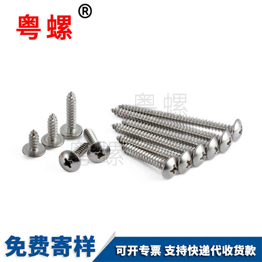 永川永川大扁頭永川自攻螺絲 永川永川大扁頭永川自攻螺絲