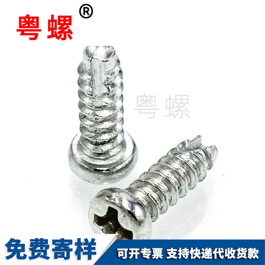 楚雄圓頭割尾自攻