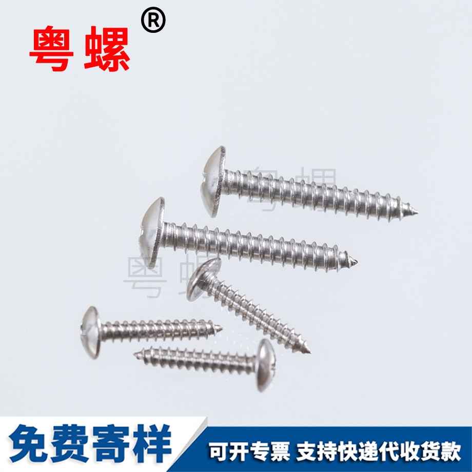 十字槽大扁頭西雙版納自攻釘 十字槽大扁頭西雙版納自攻釘