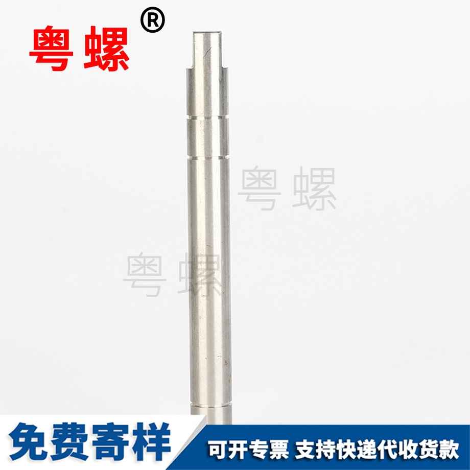 西雙版納非標(biāo)軸