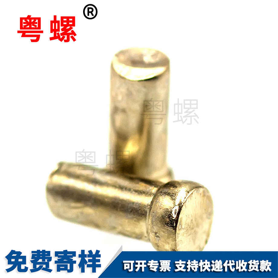 山南黃銅平頭銷軸螺栓 山南黃銅平頭銷軸螺栓
