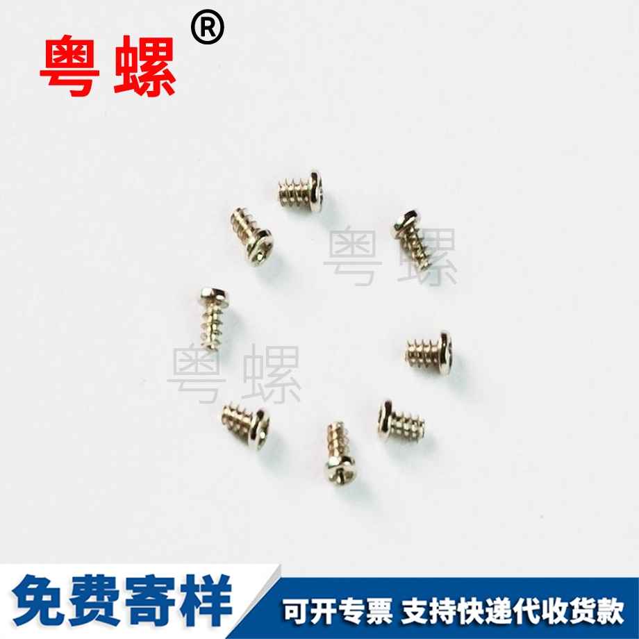 塑膠表殼底蓋山南不銹鋼螺絲 塑膠表殼底蓋山南不銹鋼螺絲
