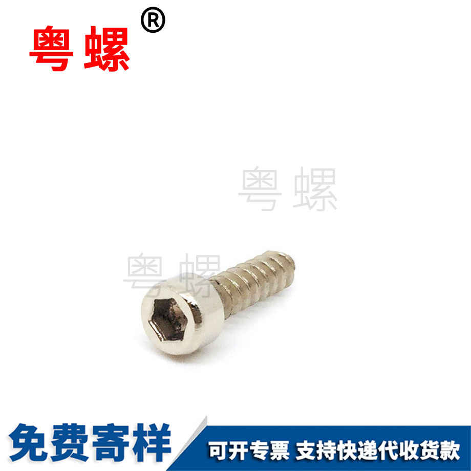 加工甘南杯頭甘南甘南內(nèi)甘南六角甘南自攻螺絲