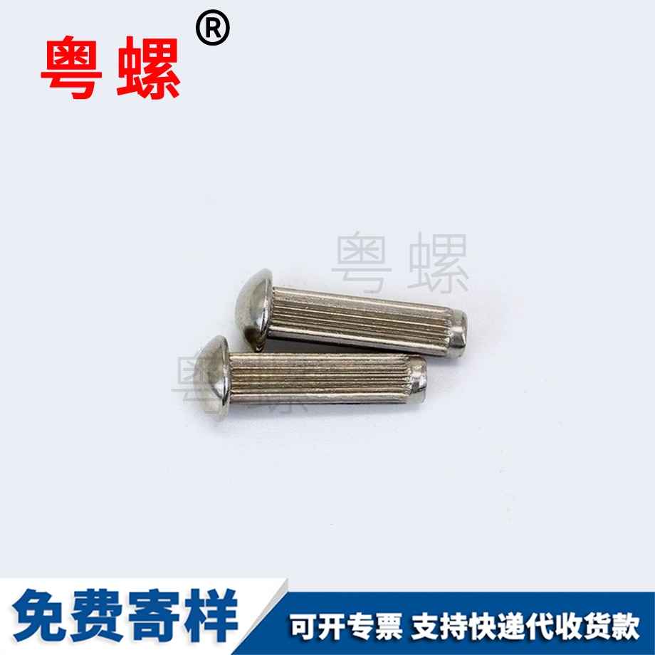 迪慶平頭鉚釘 迪慶平頭鉚釘