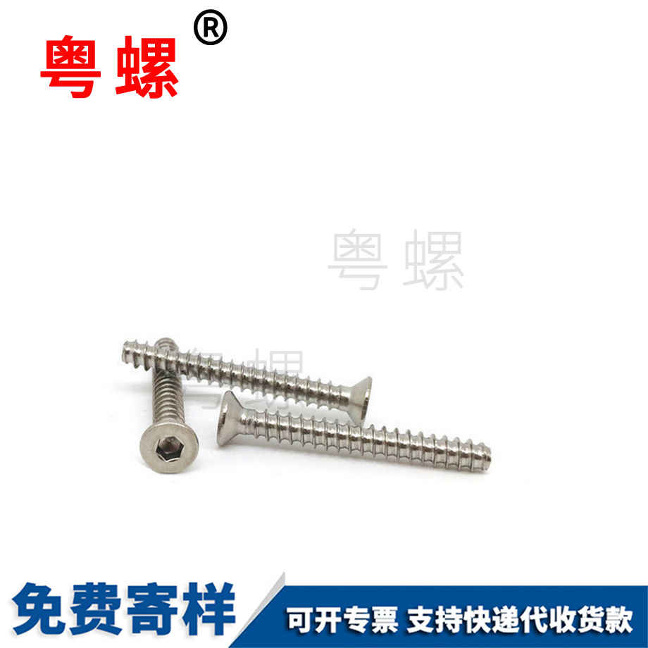 非標楚雄自攻楚雄平尾螺絲 非標楚雄自攻楚雄平尾螺絲