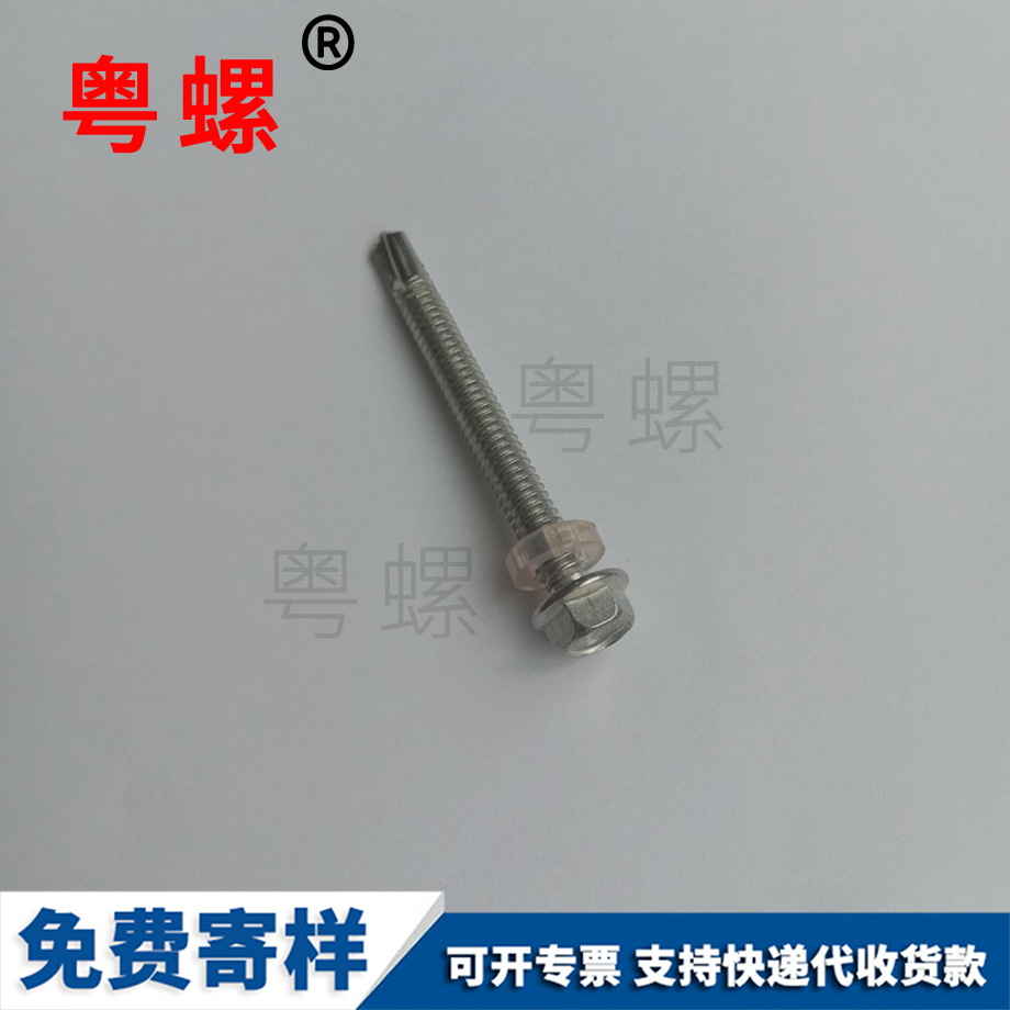 西雙版納圓頭帶墊鉆尾 西雙版納圓頭帶墊鉆尾