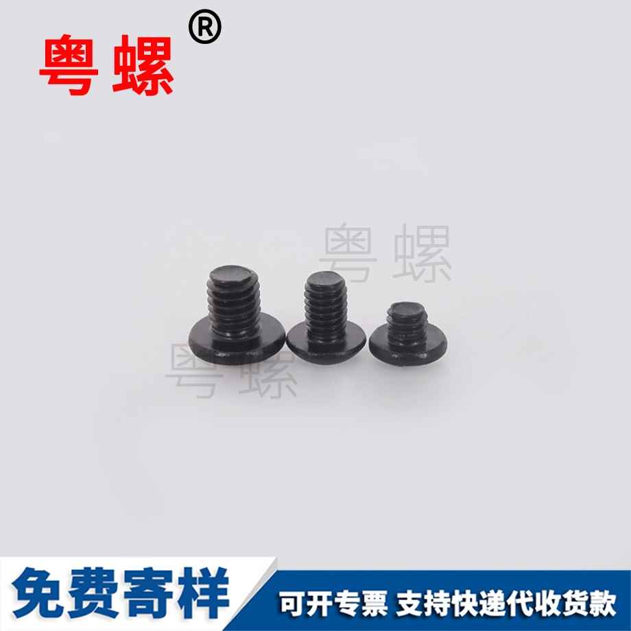 大扁頭內(nèi)六機(jī)絲 大扁頭內(nèi)六機(jī)絲