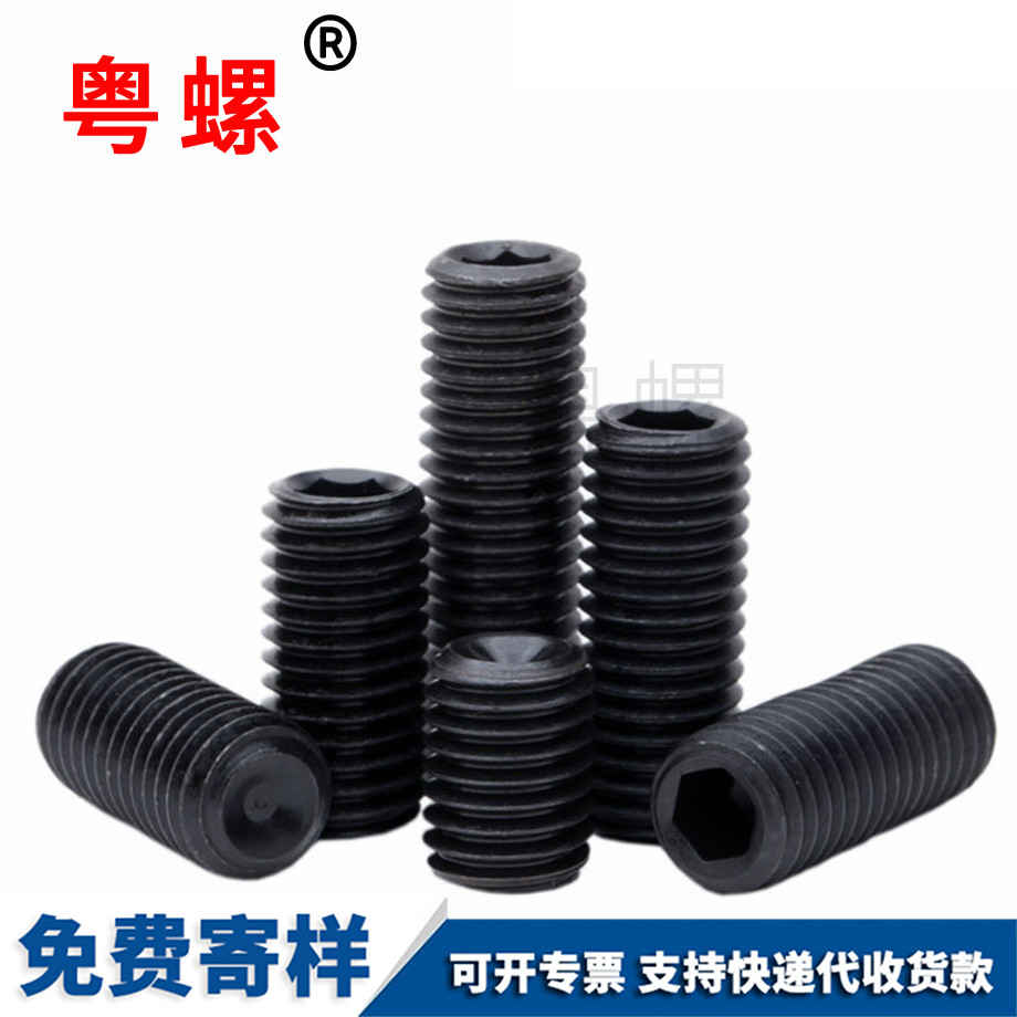 西雙版納基米螺絲 西雙版納基米螺絲