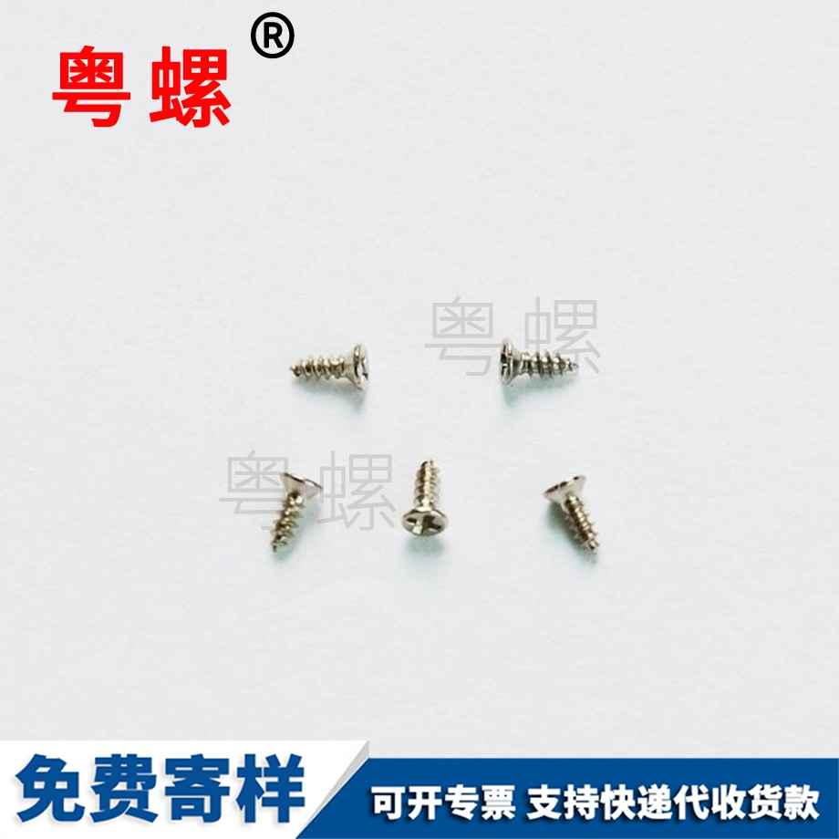 西雙版納PWA帶介電子小螺釘 西雙版納PWA帶介電子小螺釘