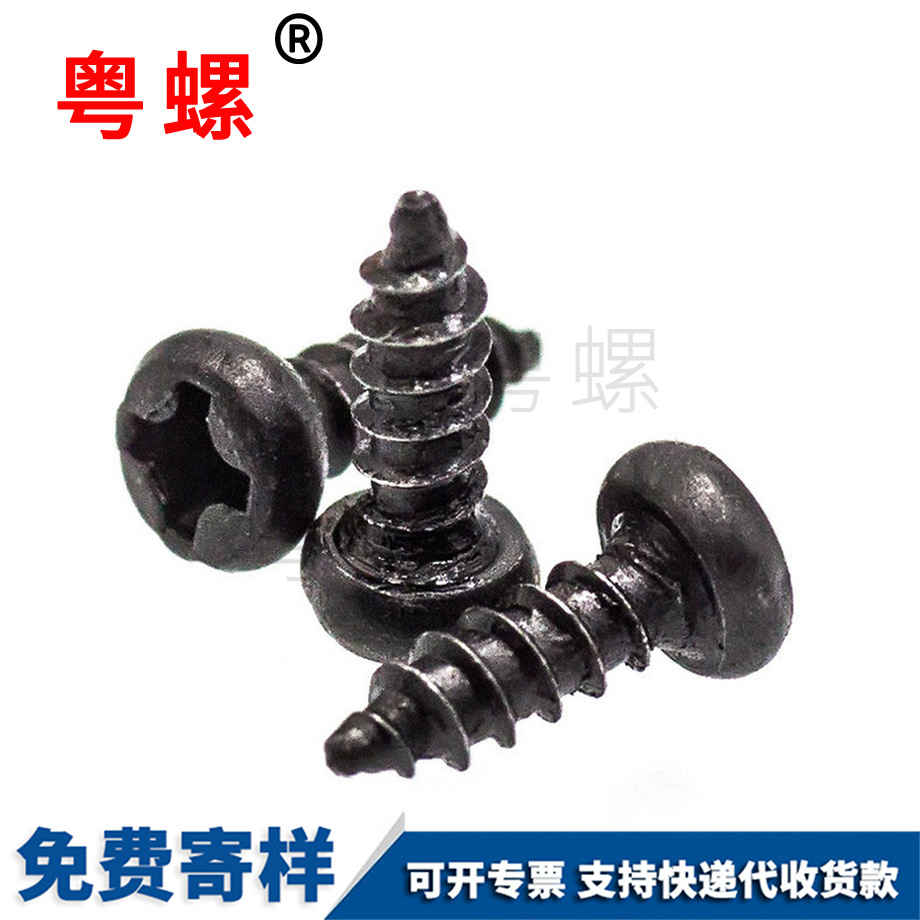 楚雄楚雄尖尾楚雄自攻螺絲 楚雄楚雄尖尾楚雄自攻螺絲