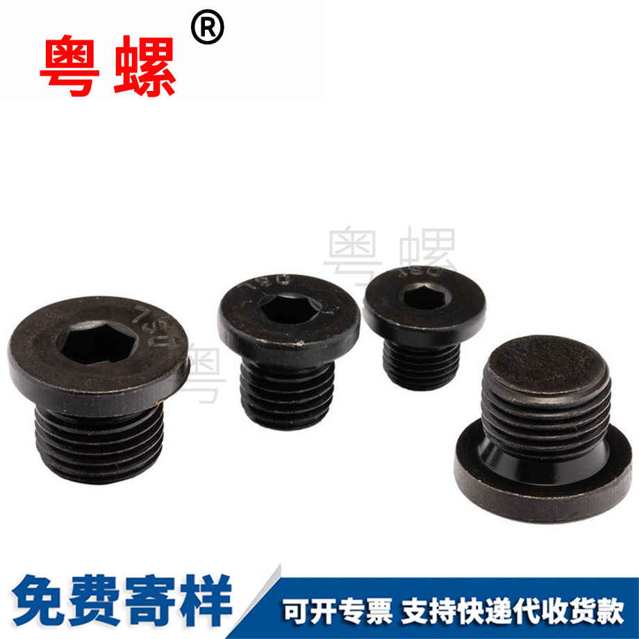 訂制內(nèi)六角法蘭面楚雄堵頭