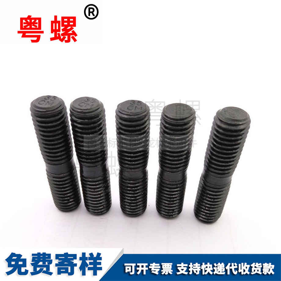 西雙版納雙頭螺絲 西雙版納雙頭螺絲