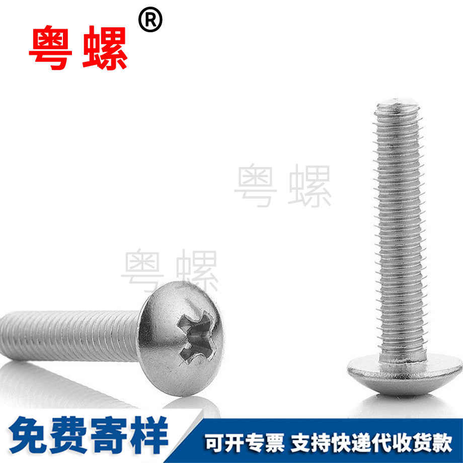 昌邑機(jī)絲螺釘