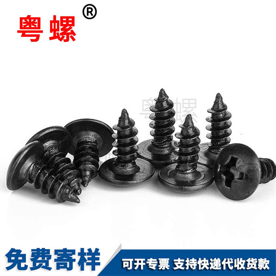 黑色大扁頭 黑色大扁頭