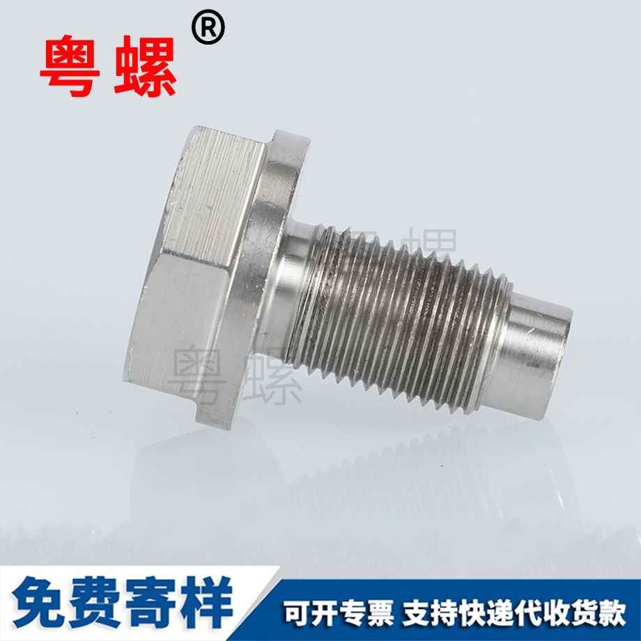 六角不銹鋼蕪湖螺絲釘 六角不銹鋼蕪湖螺絲釘