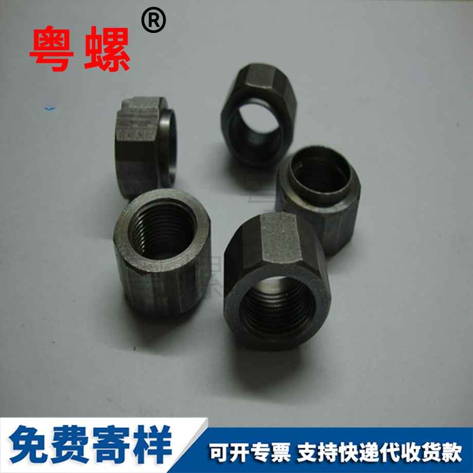 文昌非標(biāo)六角文昌不銹鋼螺母