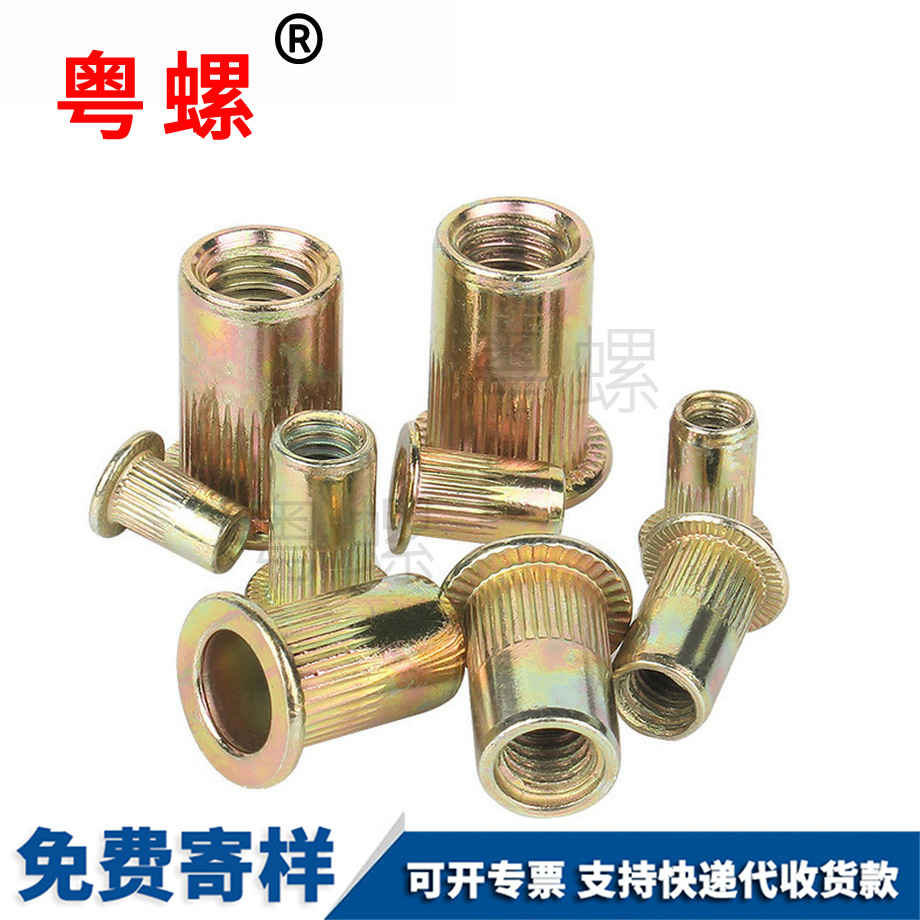 山南平頭山南拉鉚螺母 山南平頭山南拉鉚螺母