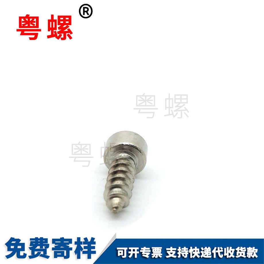 山南杯頭梅花山南山南內(nèi)山南六角山南自攻螺絲 山南杯頭梅花山南山南內(nèi)山南六角山南自攻螺絲