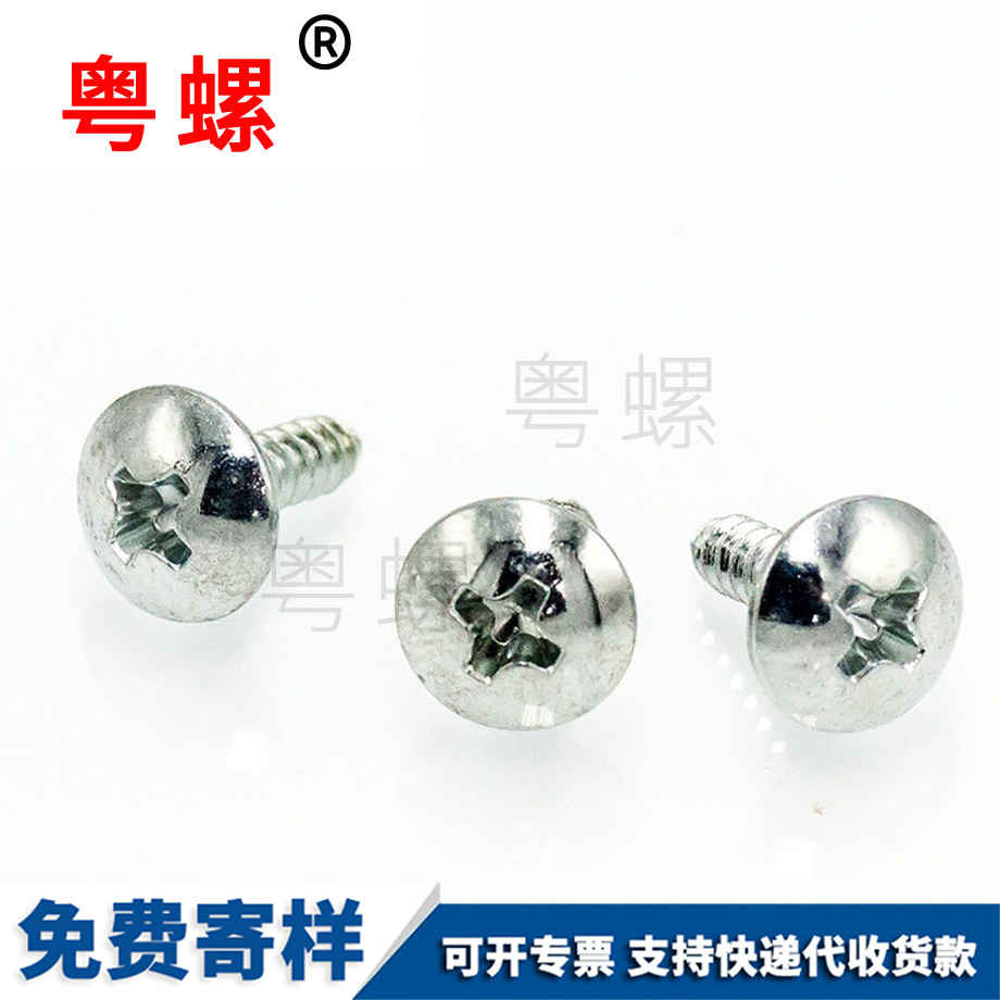 定做大扁頭大頭迪慶自攻釘