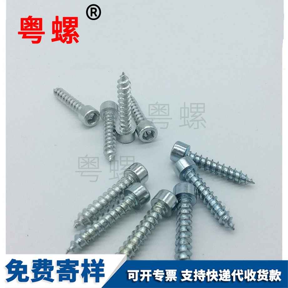 內(nèi)六角西雙版納自攻釘 內(nèi)六角西雙版納自攻釘