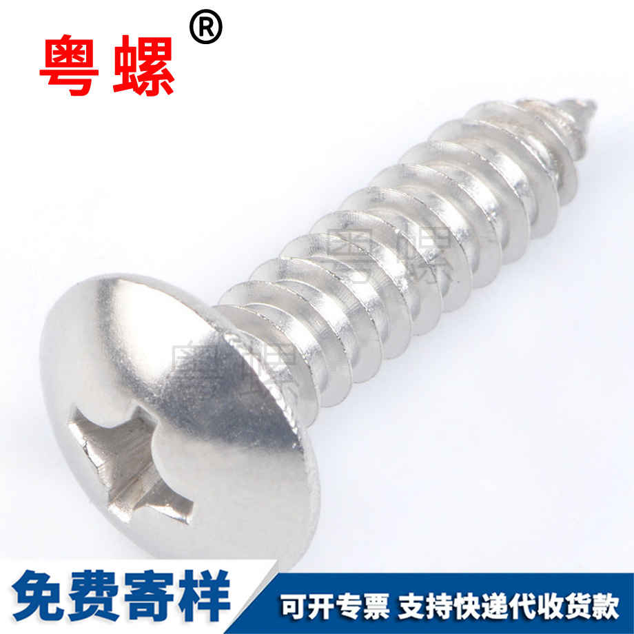 七臺(tái)河七臺(tái)河大扁頭七臺(tái)河自攻螺絲 七臺(tái)河七臺(tái)河大扁頭七臺(tái)河自攻螺絲