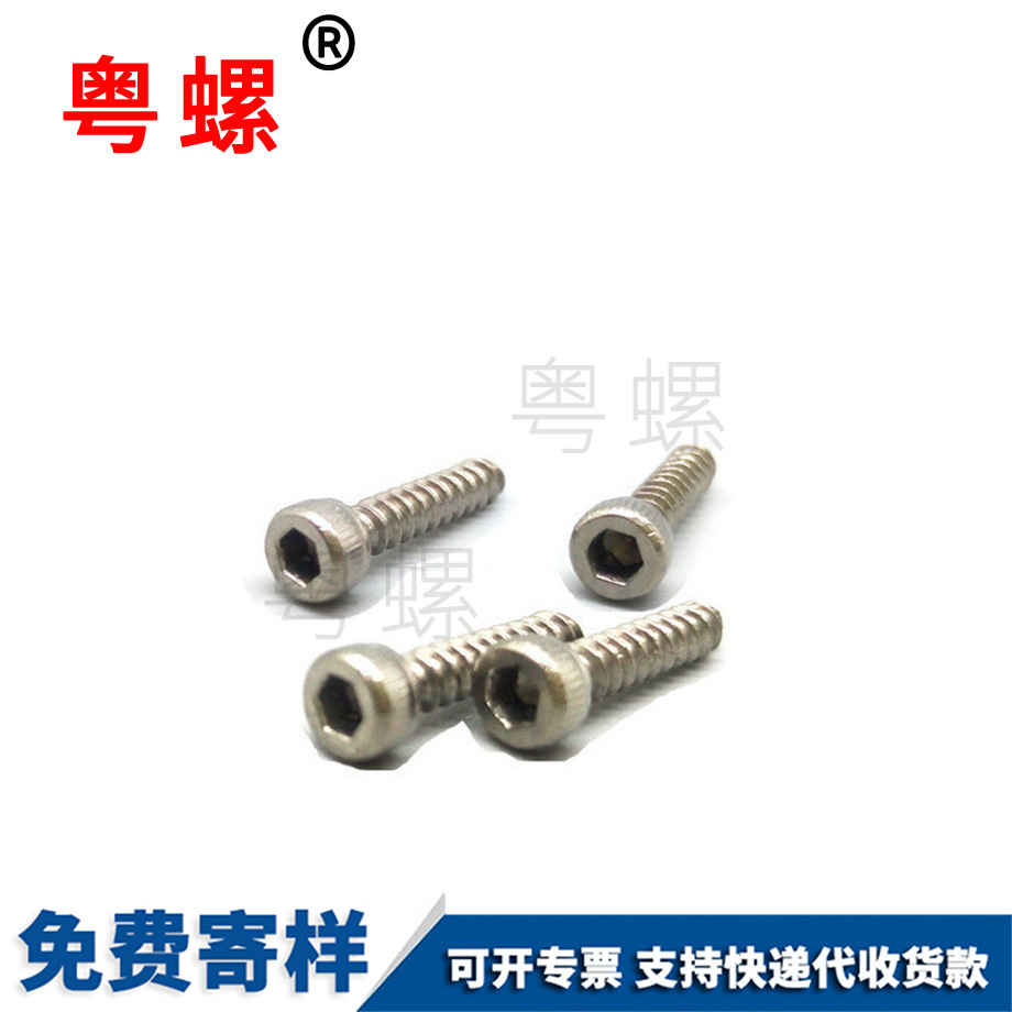 薊州杯頭薊州薊州內(nèi)薊州六角薊州自攻螺絲 薊州杯頭薊州薊州內(nèi)薊州六角薊州自攻螺絲