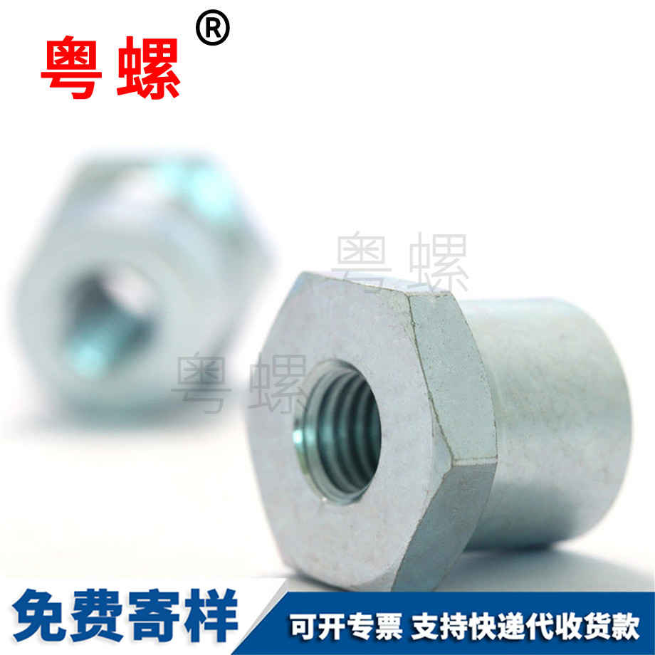 T林芝型林芝六角螺母